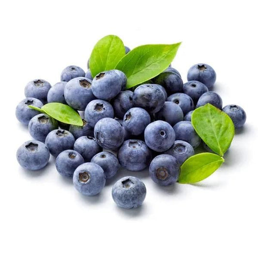 Giant Blueberry Fruit Premium Seeds